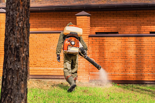 Trusted Termite Control service in Torrington, WY - Nex Pest Control